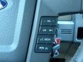 Tan Controls Photo for 2010 Ford F150 #38665306