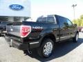 2010 Tuxedo Black Ford F150 Platinum SuperCrew 4x4  photo #3