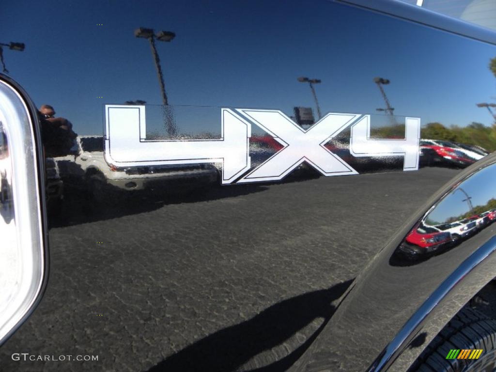 2010 Ford F150 Platinum SuperCrew 4x4 Marks and Logos Photo #38665594
