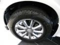 2010 Infiniti QX 56 4WD Wheel and Tire Photo
