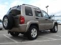 Light Khaki Metallic - Liberty Limited 4x4 Photo No. 3