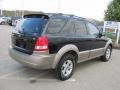 Ebony Black - Sorento EX 4WD Photo No. 9