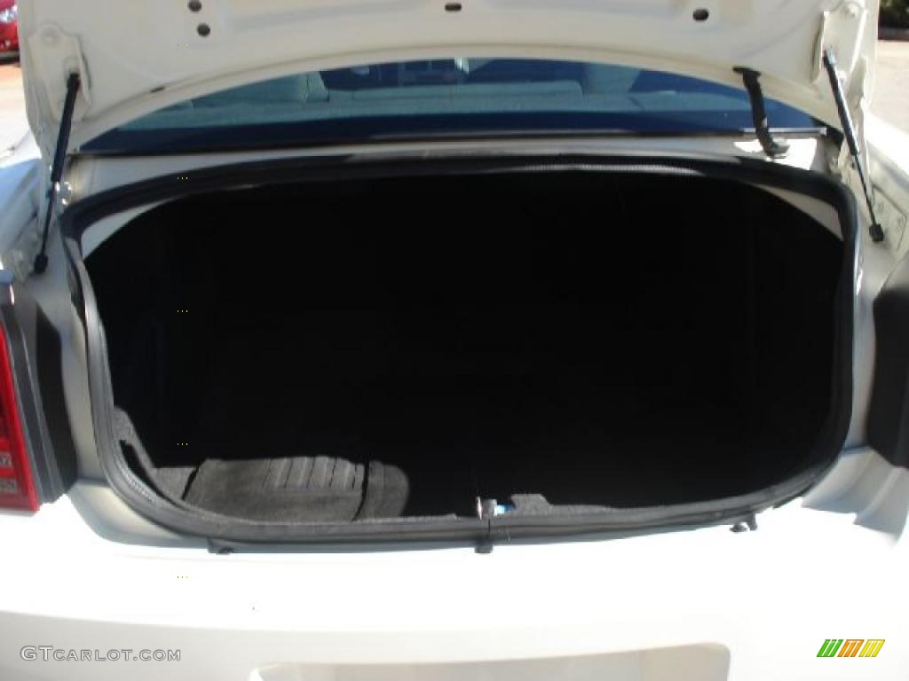 2008 Charger SE - Stone White / Dark Slate Gray photo #13