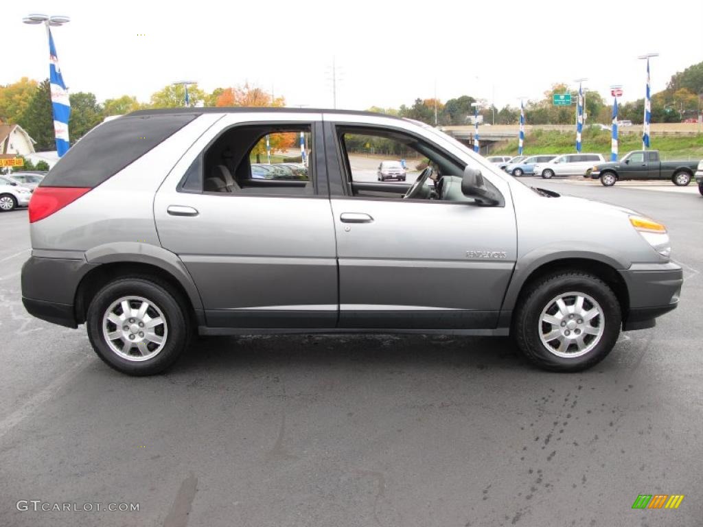 Light Spiral Gray Metallic 2003 Buick Rendezvous CX Exterior Photo #38672303