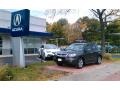 Grigio Metallic - RDX SH-AWD Photo No. 1