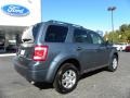 2010 Steel Blue Metallic Ford Escape Limited V6  photo #3