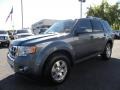 2010 Steel Blue Metallic Ford Escape Limited V6  photo #6