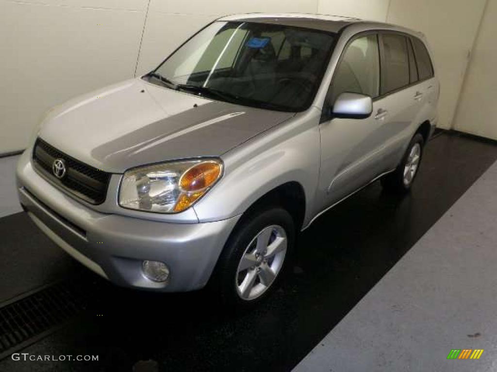 2005 RAV4  - Titanium Metallic / Dark Charcoal photo #1