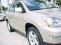Savannah Beige Metallic - RX 330 AWD Photo No. 2