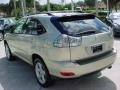 Savannah Beige Metallic - RX 330 AWD Photo No. 9