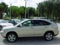 Savannah Beige Metallic - RX 330 AWD Photo No. 10