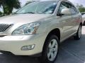 Savannah Beige Metallic - RX 330 AWD Photo No. 13