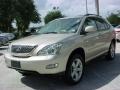 Savannah Beige Metallic - RX 330 AWD Photo No. 14
