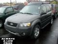 2006 Dark Shadow Grey Metallic Ford Escape XLT V6 4WD  photo #3