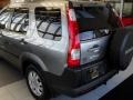Sahara Sand Metallic - CR-V EX 4WD Photo No. 5
