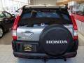 Sahara Sand Metallic - CR-V EX 4WD Photo No. 6