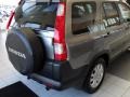 Sahara Sand Metallic - CR-V EX 4WD Photo No. 7