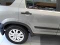 Sahara Sand Metallic - CR-V EX 4WD Photo No. 8