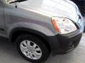 Sahara Sand Metallic - CR-V EX 4WD Photo No. 10