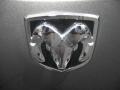 2010 Mineral Gray Metallic Dodge Dakota Big Horn Extended Cab  photo #33