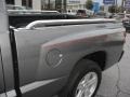 2010 Mineral Gray Metallic Dodge Dakota Big Horn Extended Cab  photo #34