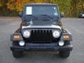 Black - Wrangler Sport 4x4 Photo No. 2