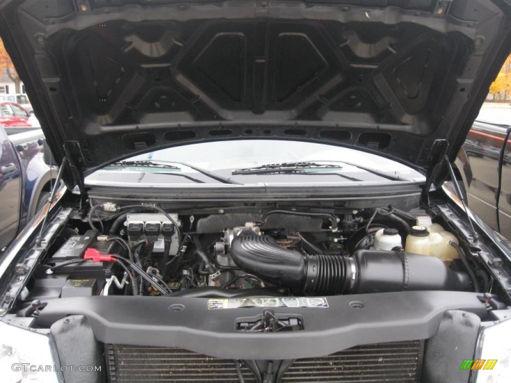 2004 F150 XL Regular Cab - Black / Dark Flint photo #11