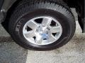 Titanium Metallic - FJ Cruiser 4WD Photo No. 4