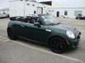 2010 British Racing Green Metallic Mini Cooper S Convertible  photo #6