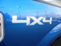 2010 Blue Flame Metallic Ford F150 XLT SuperCab 4x4  photo #14