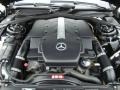 5.0 Liter SOHC 24-Valve V8 Engine for 2005 Mercedes-Benz S 500 4Matic Sedan #38723099