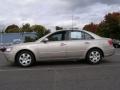 2010 Camel Pearl Hyundai Sonata GLS  photo #4