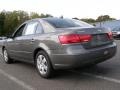Willow Gray - Sonata GLS Photo No. 5