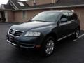 Offroad Grey Metallic - Touareg V8 Photo No. 1