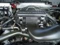 2006 Dark Copper Metallic Ford Expedition Eddie Bauer  photo #30