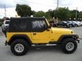 2002 Solar Yellow Jeep Wrangler X 4x4  photo #10