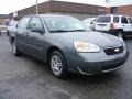 2006 Medium Gray Metallic Chevrolet Malibu LS Sedan  photo #7