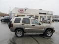Light Khaki Metallic - Liberty Renegade 4x4 Photo No. 2