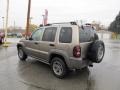 Light Khaki Metallic - Liberty Renegade 4x4 Photo No. 4