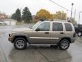 Light Khaki Metallic - Liberty Renegade 4x4 Photo No. 5
