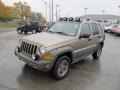 Light Khaki Metallic - Liberty Renegade 4x4 Photo No. 6