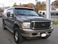 2003 Mineral Grey Metallic Ford Excursion Limited 4x4  photo #2