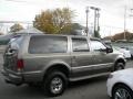 2003 Mineral Grey Metallic Ford Excursion Limited 4x4  photo #25