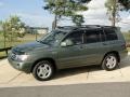 2004 Oasis Green Pearl Toyota Highlander Limited V6  photo #11