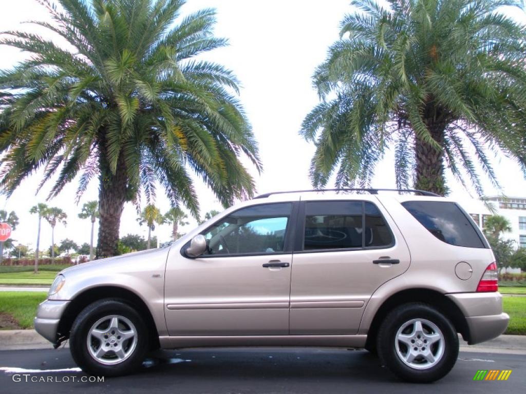 Desert Silver Metallic 2001 Mercedes-Benz ML 320 4Matic Exterior Photo #38742660