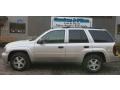 Silverstone Metallic - TrailBlazer LS 4x4 Photo No. 2
