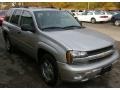 Silverstone Metallic - TrailBlazer LS 4x4 Photo No. 12