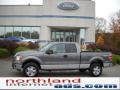 2010 Sterling Grey Metallic Ford F150 XLT SuperCab 4x4  photo #1