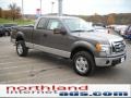 2010 Sterling Grey Metallic Ford F150 XLT SuperCab 4x4  photo #4