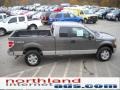 2010 Sterling Grey Metallic Ford F150 XLT SuperCab 4x4  photo #5